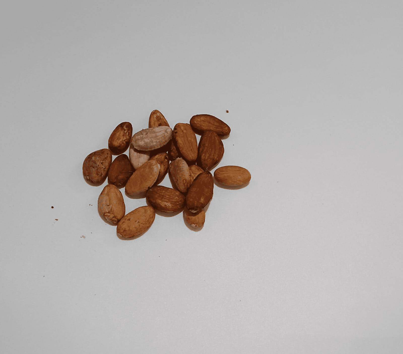 Cacao beans, Theobroma cacao. Fermented in wooden boxes, sun-dried, then hand-sorted to remove flat, broken, and mouldy beans.  Fermentation is what develops th