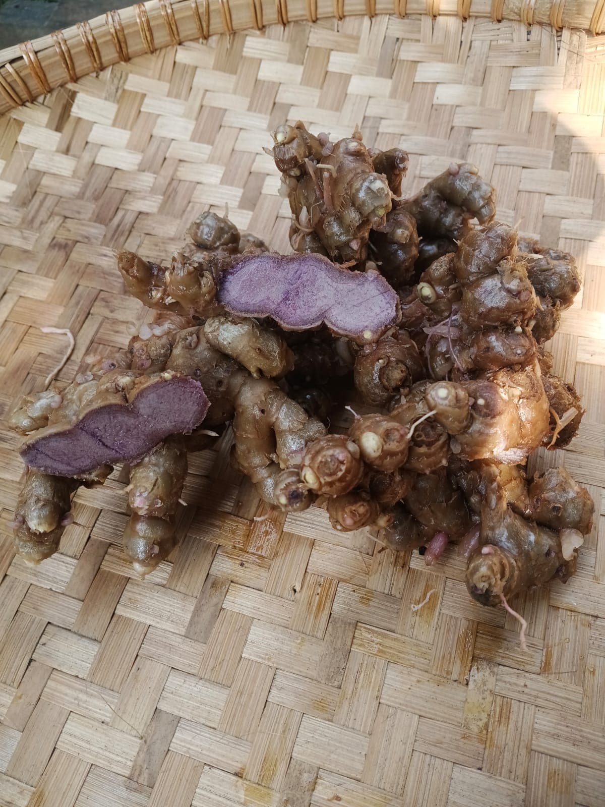 Kunyit Hitam
